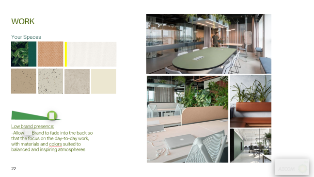 Eorkplace Strategy Project, Tbilisi, Georgia